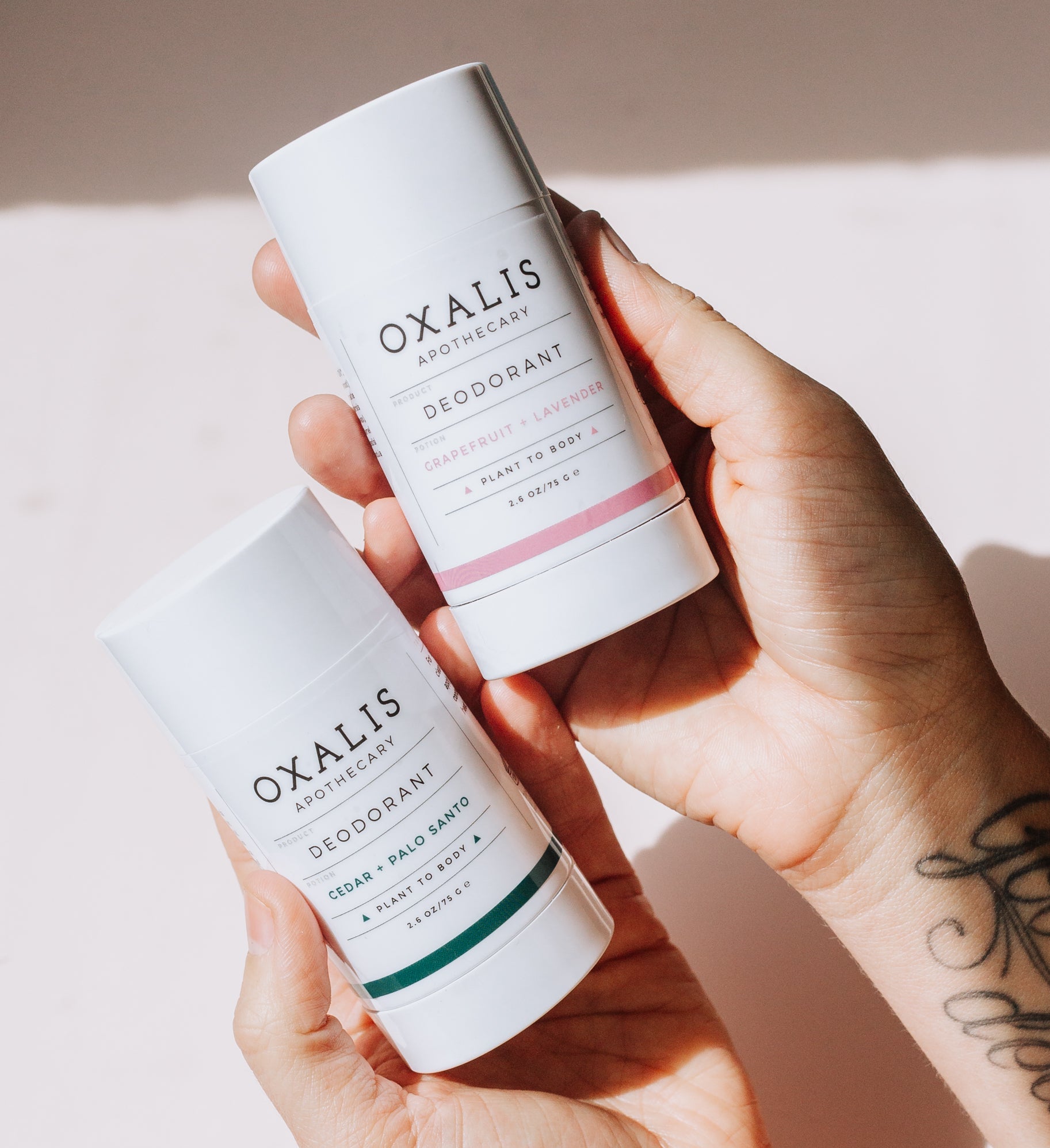 Hands holding two tubes of Oxalis Apothecary natural deodorant in Grapefruit + Lavender and Cedar + Palo Santo scents.