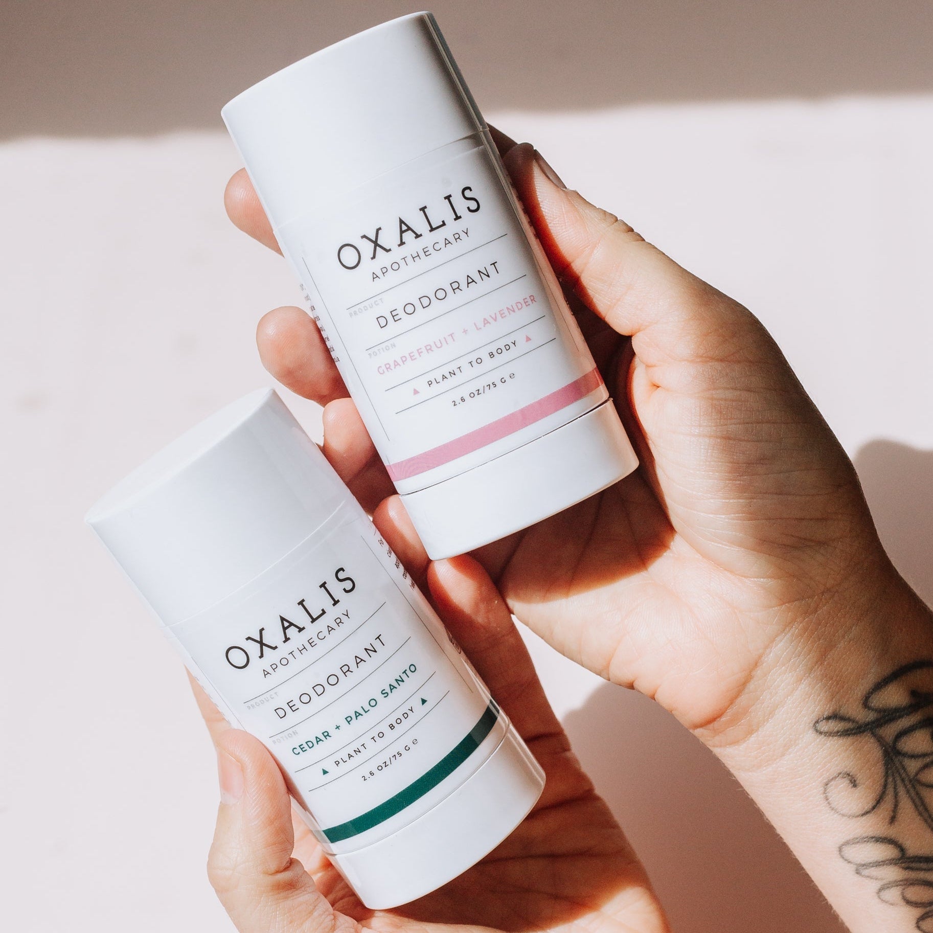 Hands holding two tubes of Oxalis Apothecary natural deodorant in Grapefruit + Lavender and Cedar + Palo Santo scents.