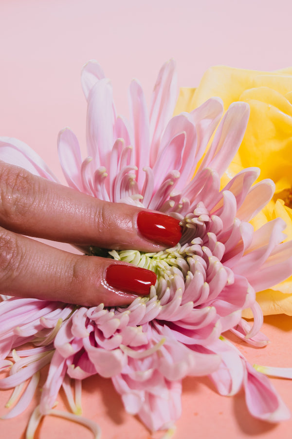 Two red-painted fingers are placed suggestively over a pink mum flower.